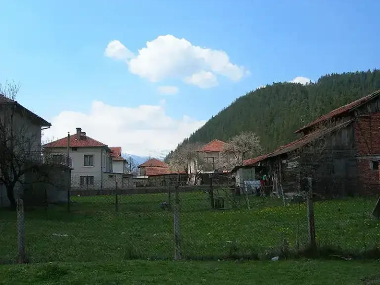 Ремонт на покриви в Говедарци